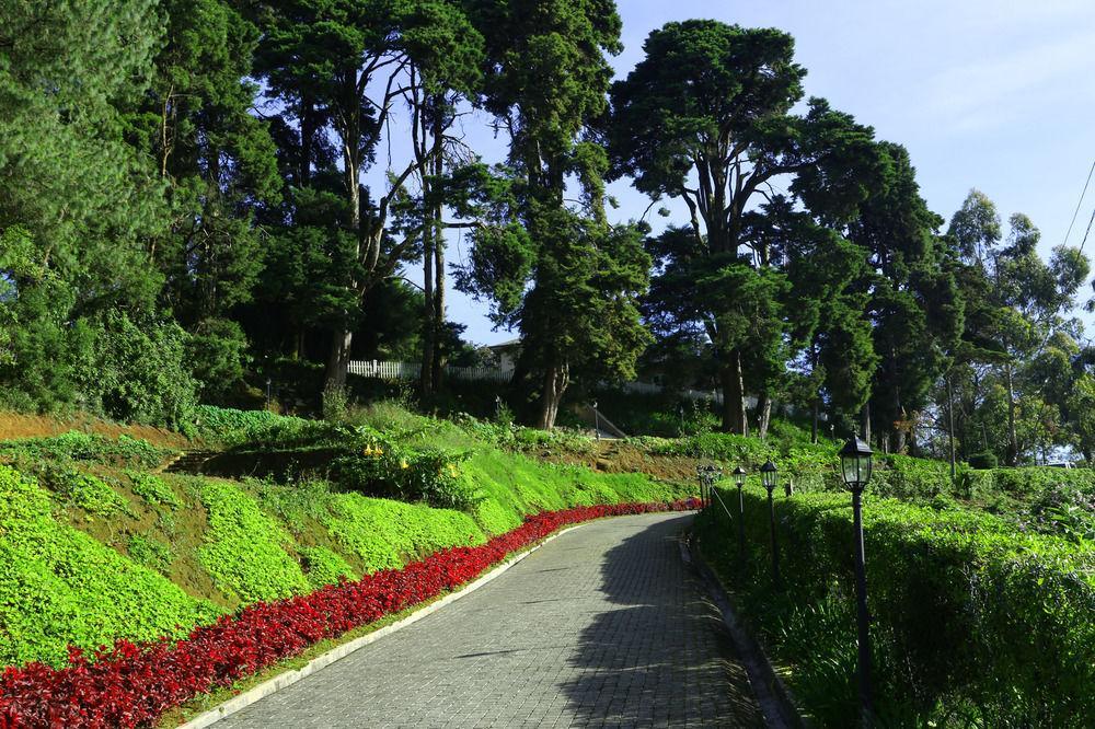 The Firs Villa Nuwara Eliya Kültér fotó