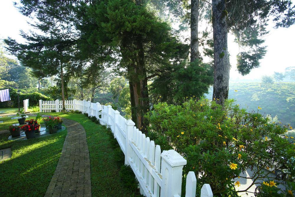 The Firs Villa Nuwara Eliya Kültér fotó