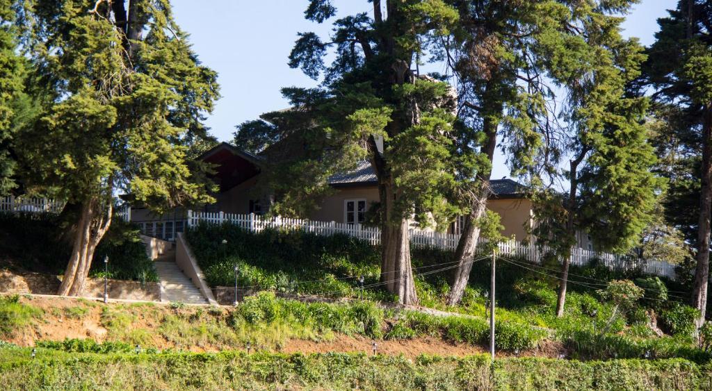 The Firs Villa Nuwara Eliya Kültér fotó