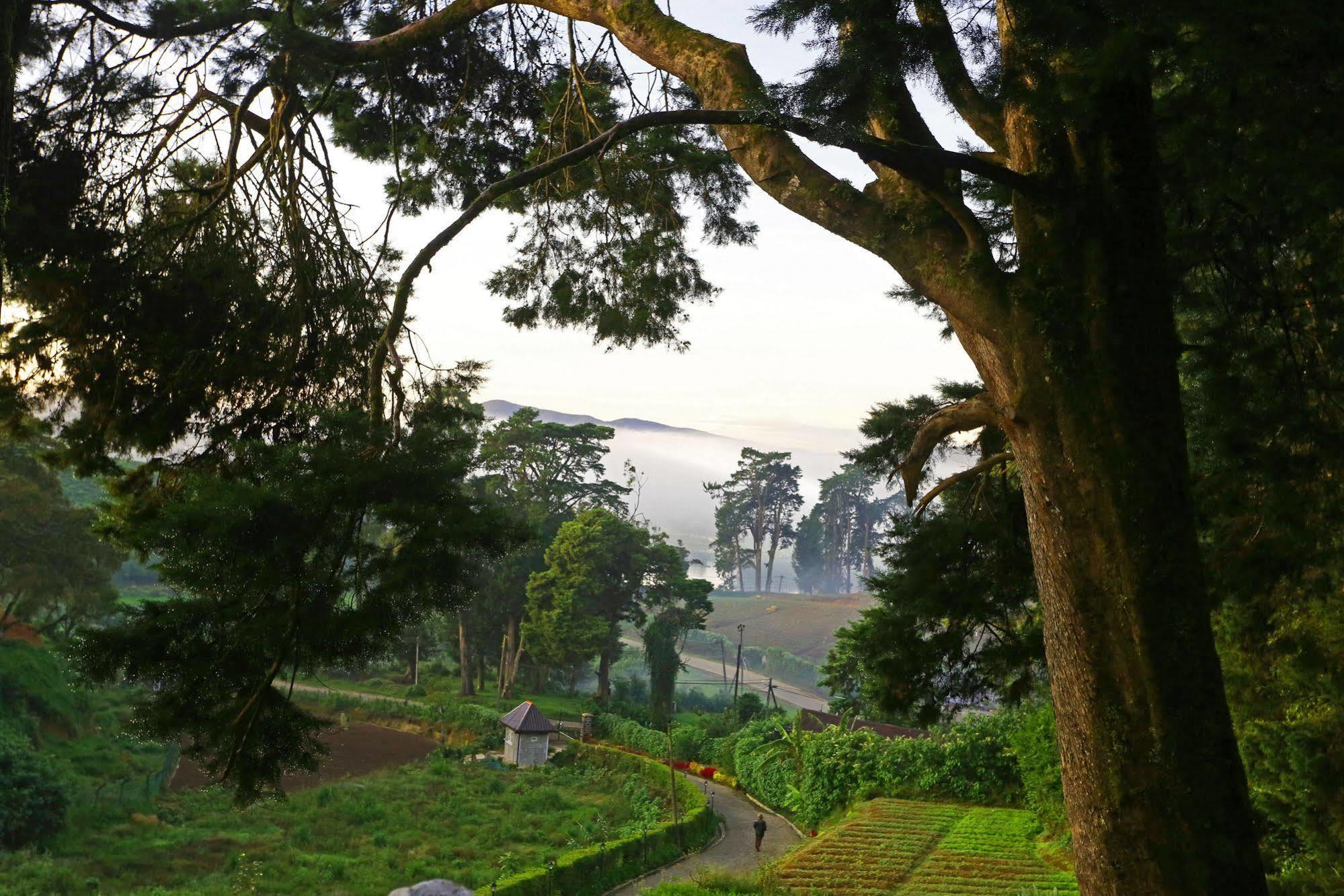 The Firs Villa Nuwara Eliya Kültér fotó
